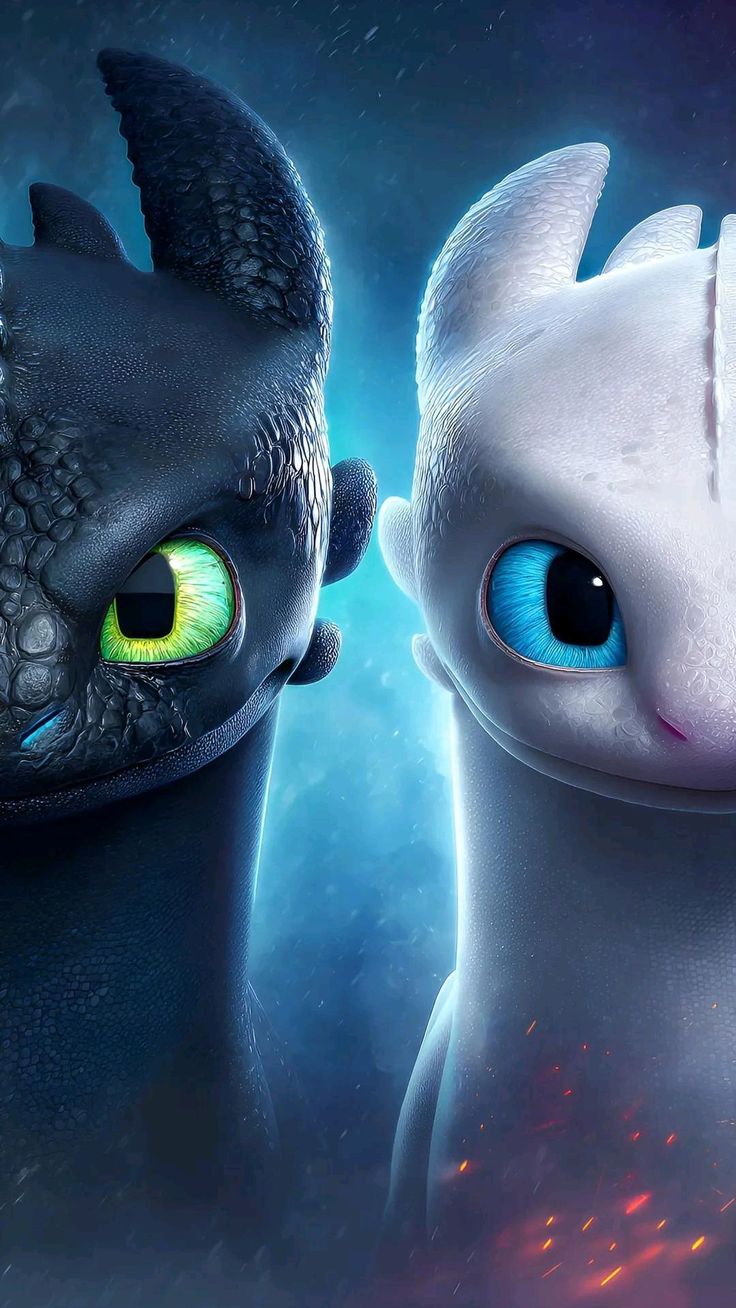 Toothless & Light Fury